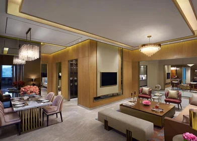 Puri Diplomatics Residences Dwarka Expressway